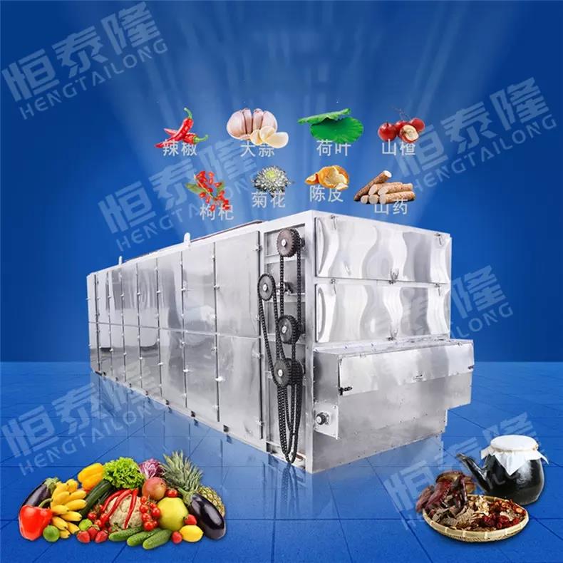 Multi-Layer Mesh Belt Drying Machine Vegetable and Fruit Mesh Conveyor