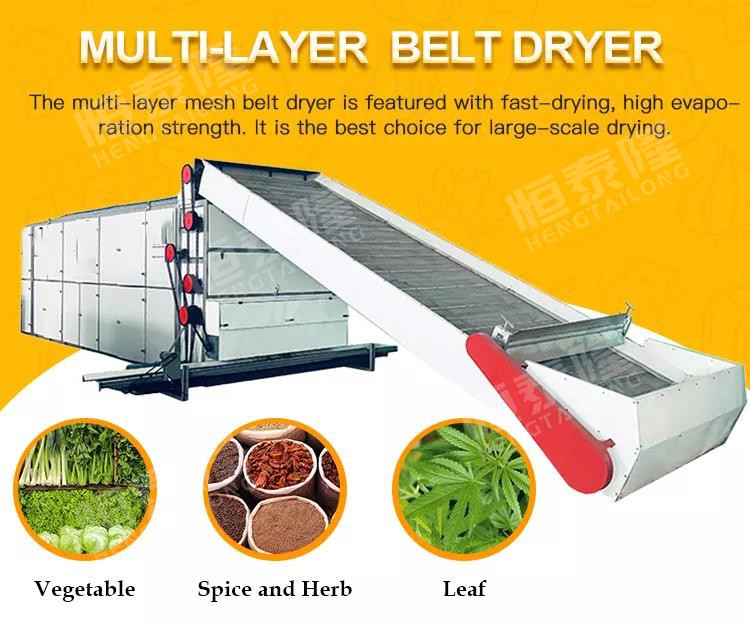 Multi-Layer Mesh Belt Drying Machine Vegetable and Fruit Mesh Conveyor